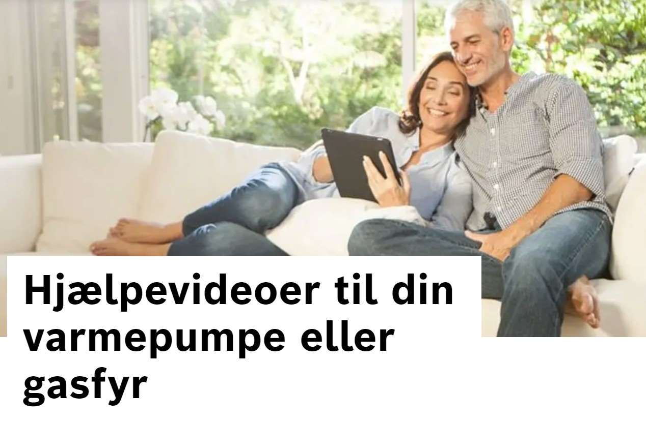 skærmbillede 2024-01-17 115037